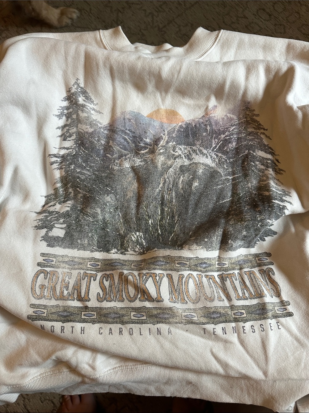 Great Smoky Mountains Graphic Crewneck Sweatshirt - Abercrombie